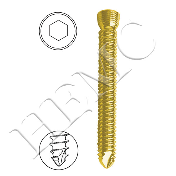 1.5mm SECURE LOCKING STAR HEAD MINI SCREWS, SELF TAPPING, TITANIUM