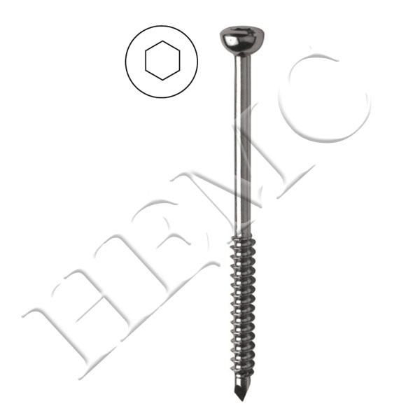 3.5mm MALLEOLAR SCREW