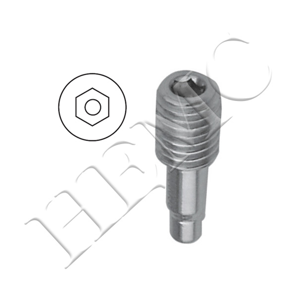 GAMMA BLOCKING SCREW