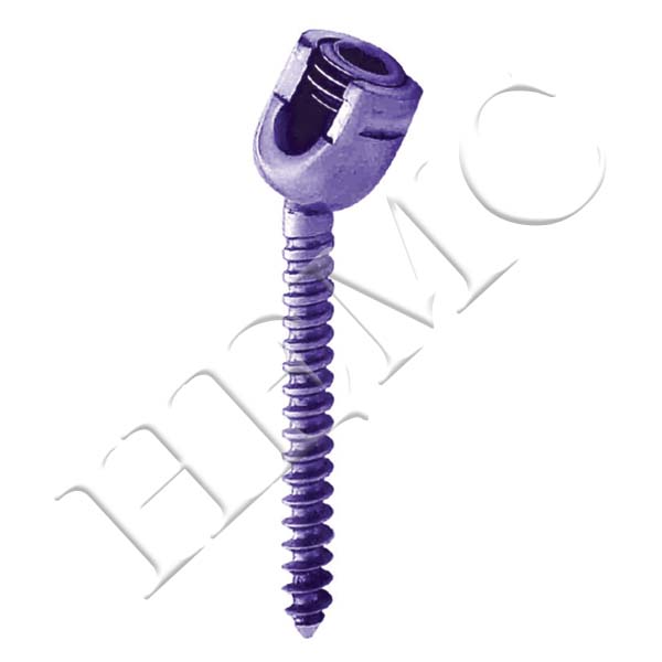 POLYAXIAL SINGLE LOCK SCREW, TITANIUM