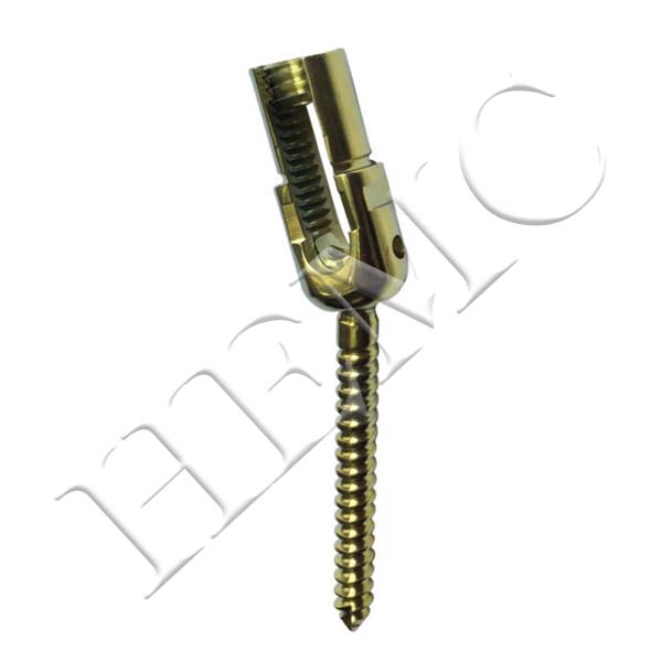 REDUCTION POLYAXIAL SCREW, TITANIUM