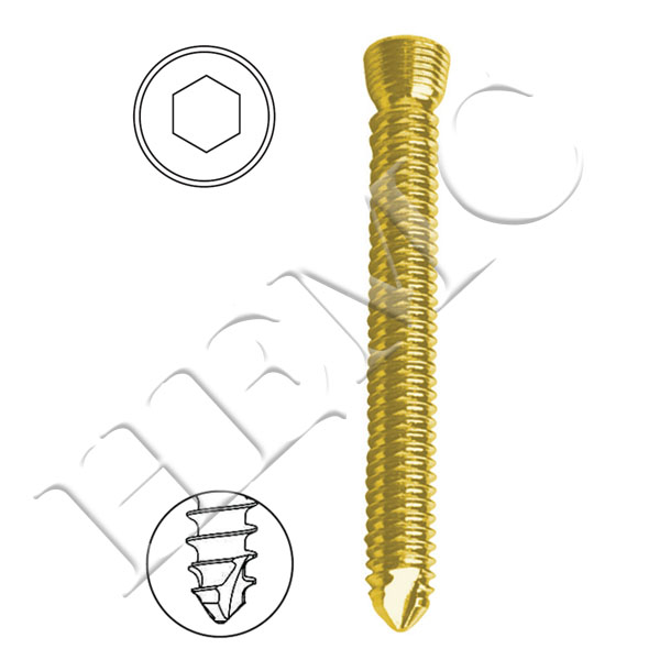 2.0mm SECURE LOCKING STAR HEAD MINI SCREWS, SELF TAPPING, TITANIUM