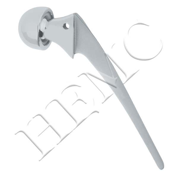 BIPOLAR HIP PROSTHESES, NON-FENESTRATED S.S.