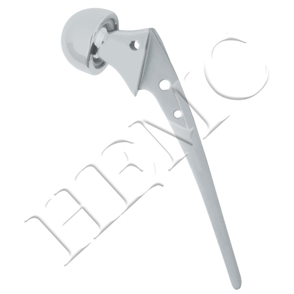 BIPOLAR HIP PROSTHESES, FENESTRATED S.S.