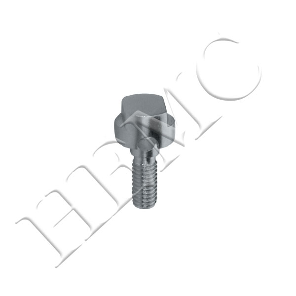 SINGLE PIN FIXATION BOLT S.S.